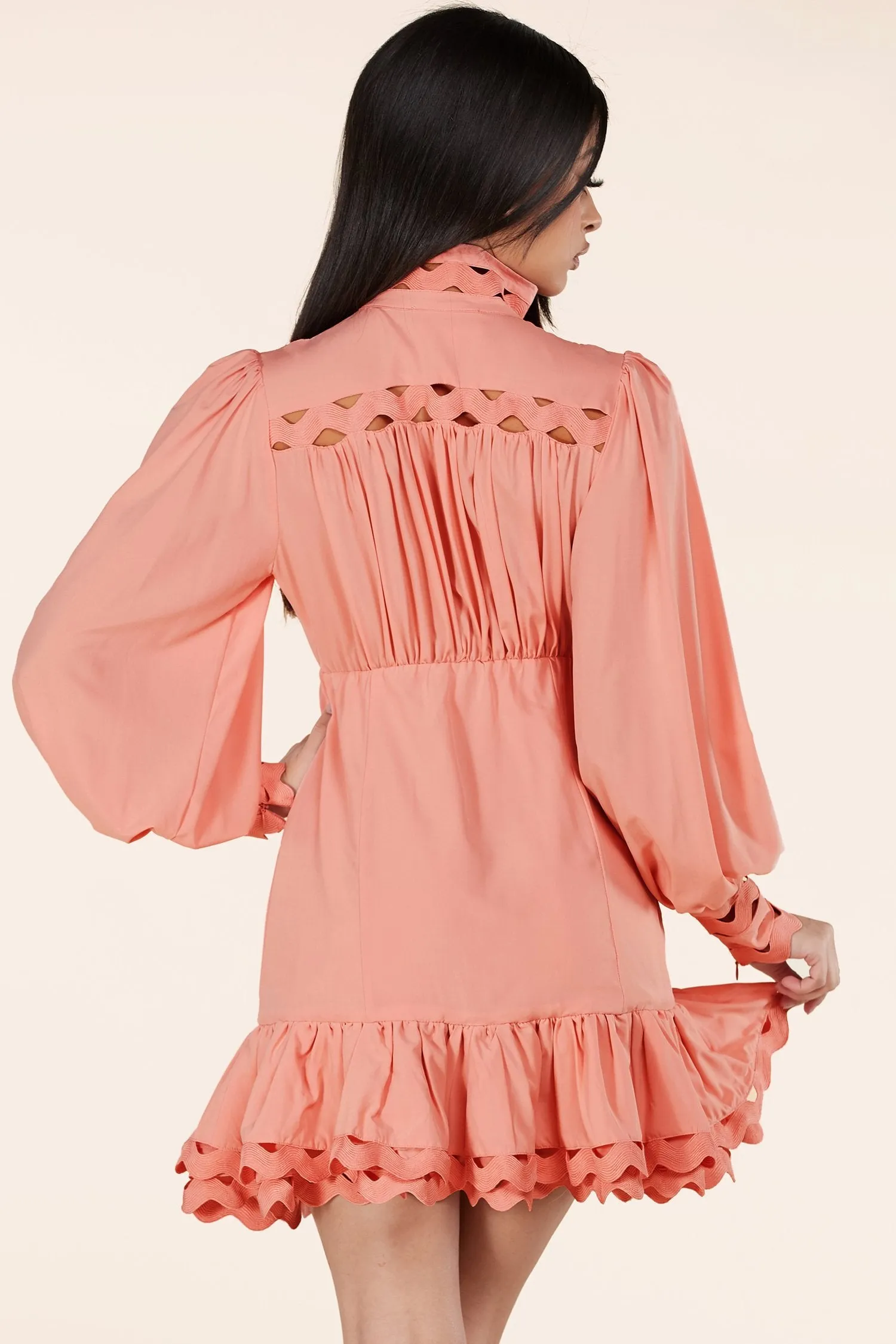 Blush Lace Eyelet Long Sleeve Mini Dress