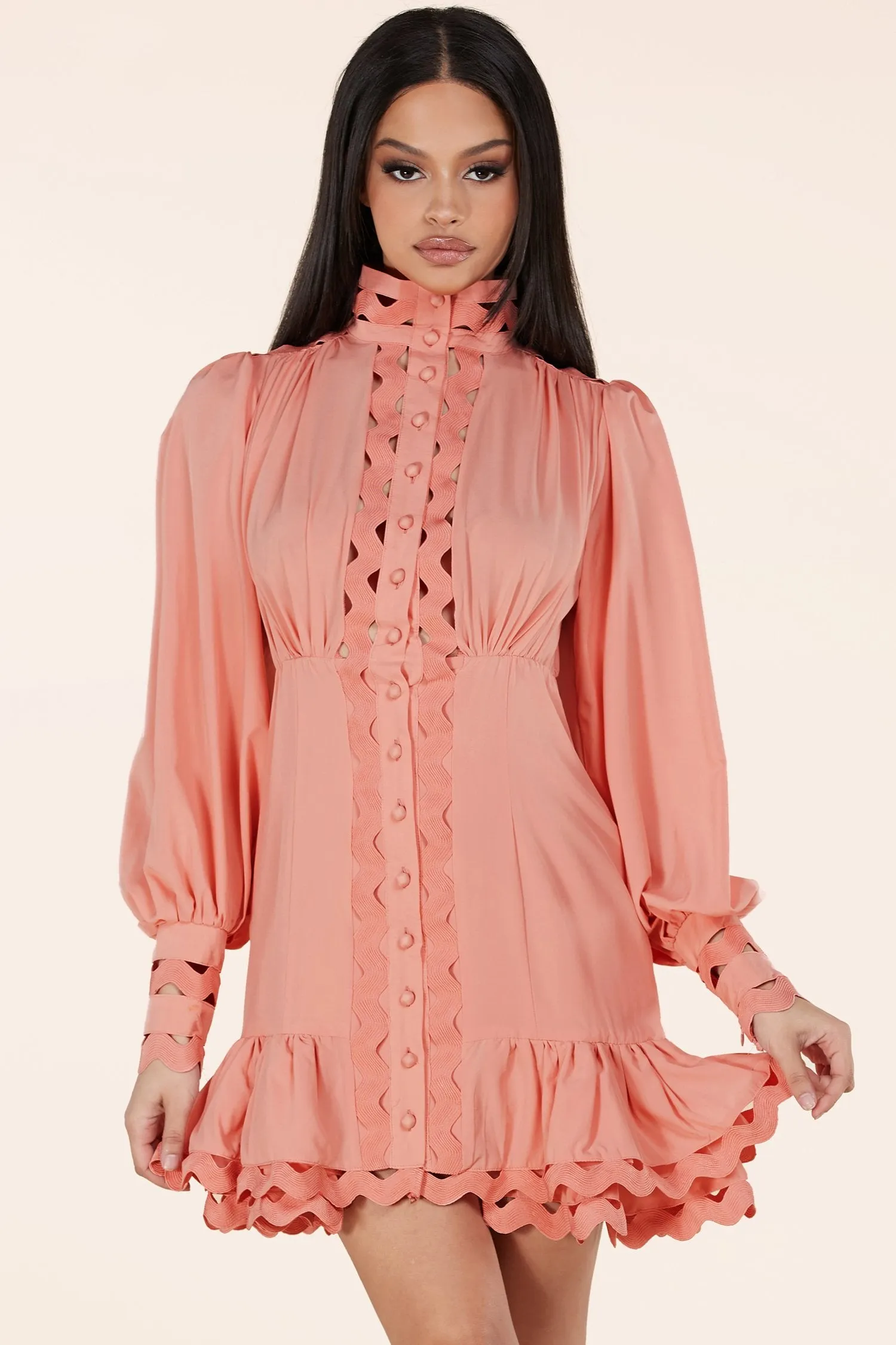 Blush Lace Eyelet Long Sleeve Mini Dress